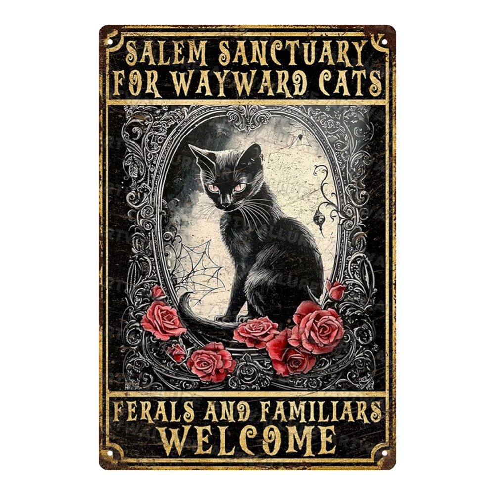 Salem Sanctuary For Wayward Cats
