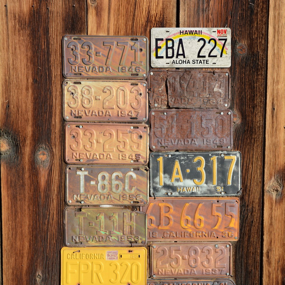 Hawaii EBA 227 - Tin License Plate Sign(6*12Inch)