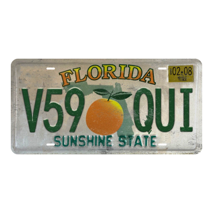 Florida V59 OUI - Tin License Plate Sign(6*12Inch)