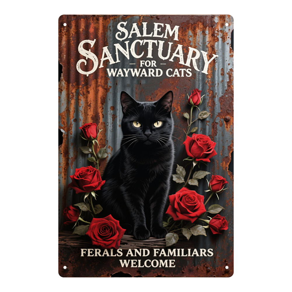 Salem Sanctuary Black Cat