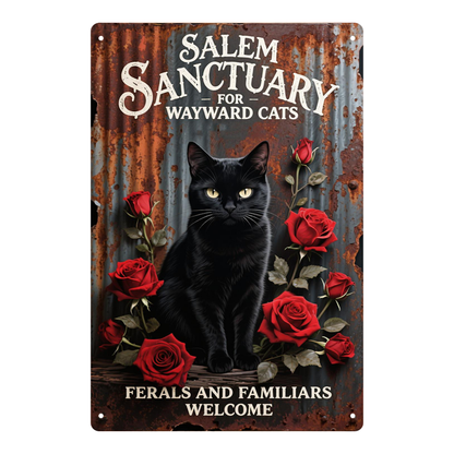 Salem Sanctuary Black Cat