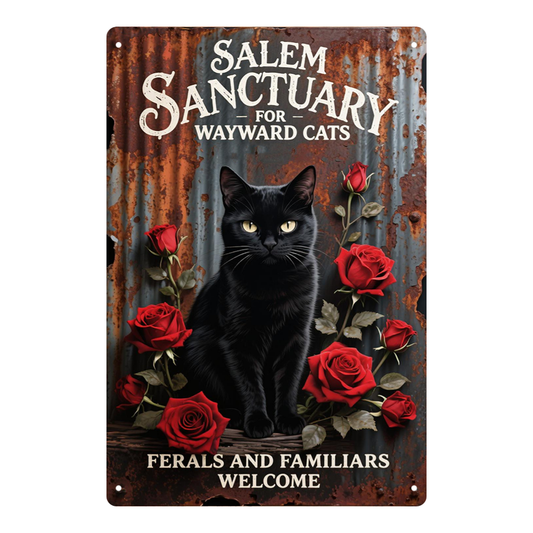 Salem Sanctuary Black Cat