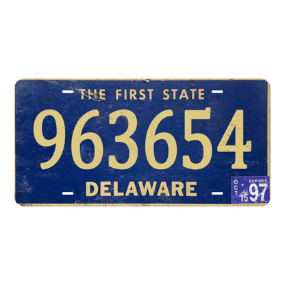 Delaware 963654 - Tin License Plate Sign(6*12Inch)