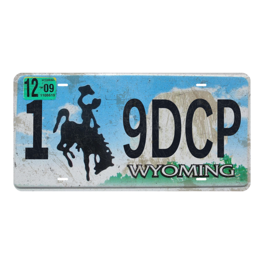 Wyoming 1-9DCP - Tin License Plate Sign(6*12Inch)