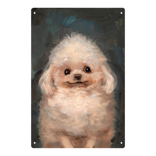 Debbie the Poodle