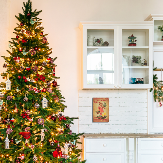 Girl Who Really Loved Christmas