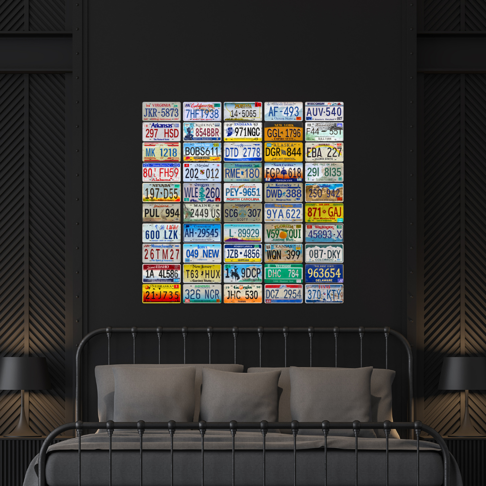 50pcs - 50 U.S. States - Car License(6*12Inch)