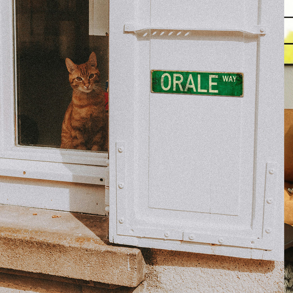 Funny Spanglish Vintage Wall Decor - ORALE.way