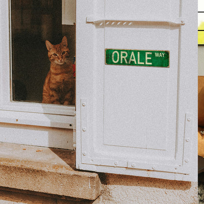 Funny Spanglish Vintage Wall Decor - ORALE.way