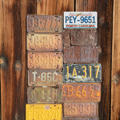 North Carolina PEY-9651 - Tin License Plate Sign(6*12Inch)