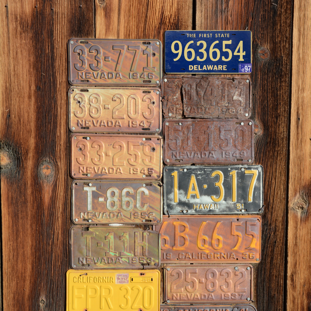 Delaware 963654 - Tin License Plate Sign(6*12Inch)