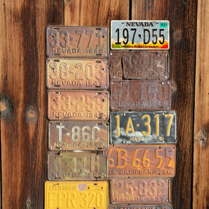 Nevada 197-D55 - Tin License Plate Sign(6*12Inch)