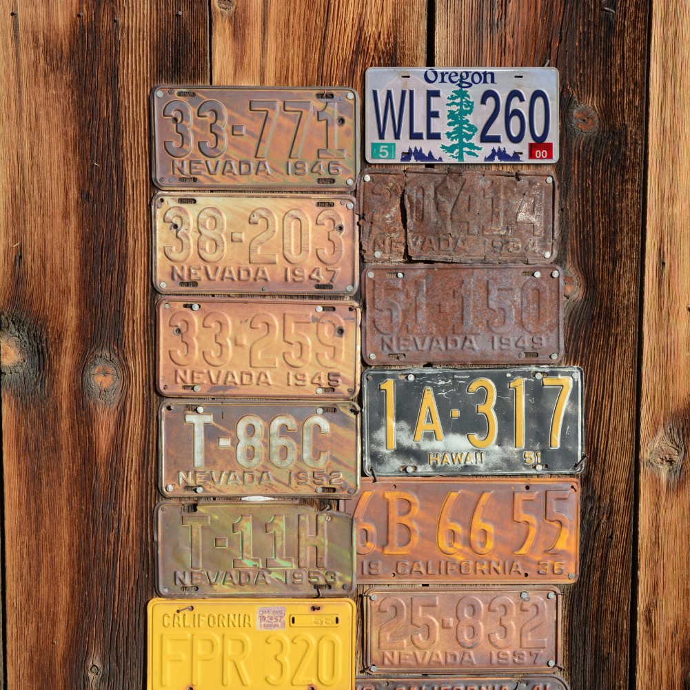 Oregon WLE 260 - Tin License Plate Sign(6*12Inch)