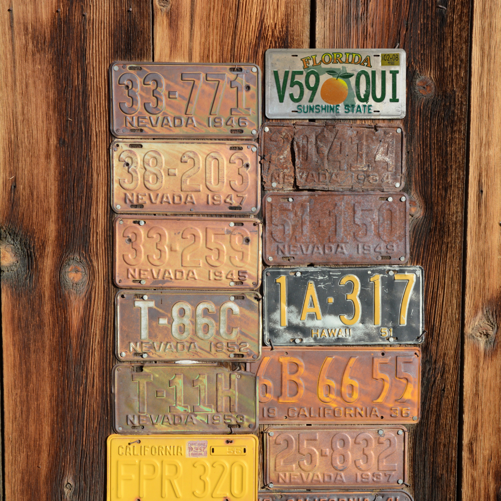 Florida V59 OUI - Tin License Plate Sign(6*12Inch)