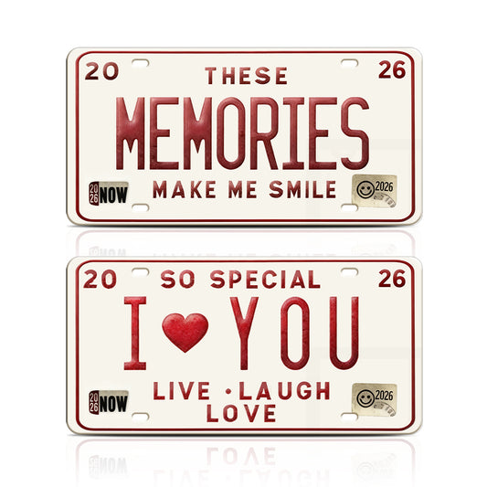2pcs - 2026 Vintage License Plate Bundle